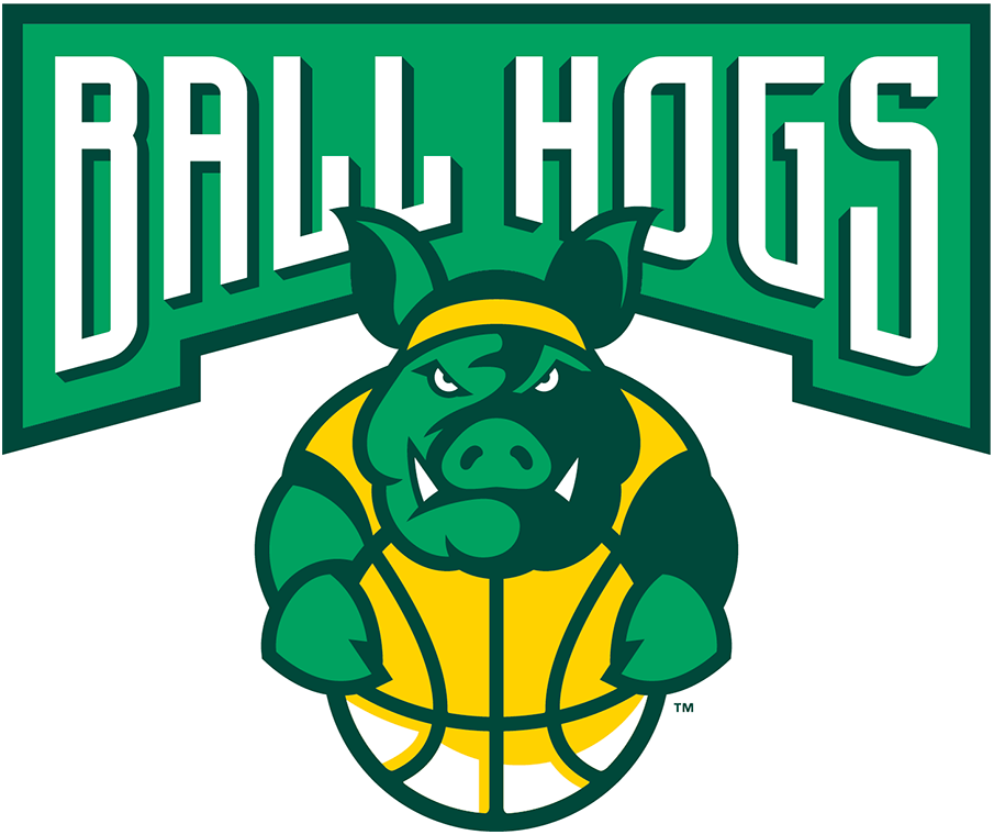 Ball Hogs 2017-Pres Primary Logo vinyl decal